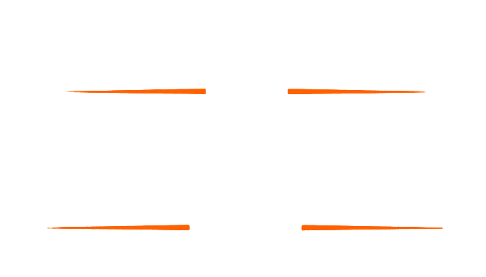 VIG Moving